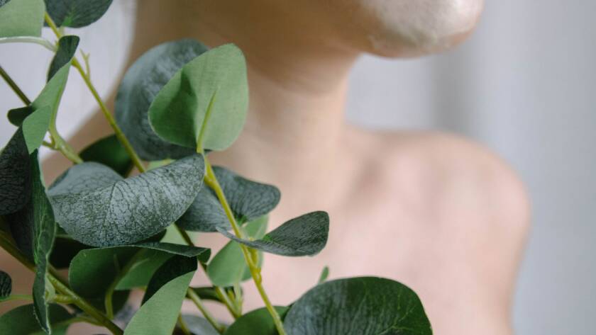 Mulher aplicando creme facial com folhas naturais, simbolizando a abordagem holística da dermatologia integrativa em BH